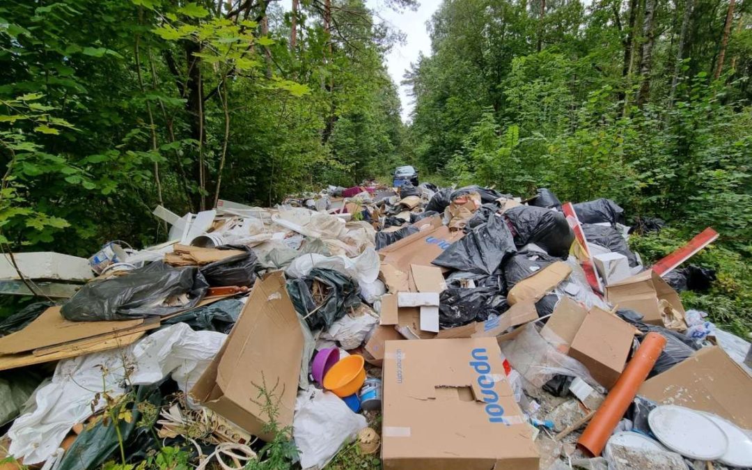 Найден «хозяин» горы мусора в лесу – на этом незаконно зарабатывают