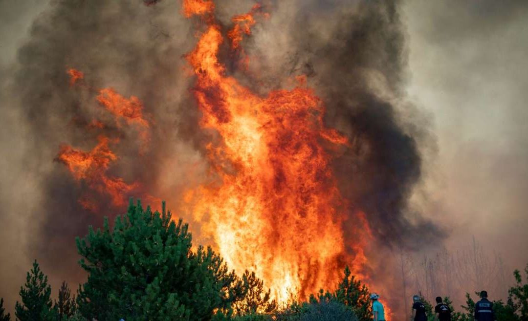 Крупный пожар в Вильнюсском районе: задействованы большие силы пожаротушения
