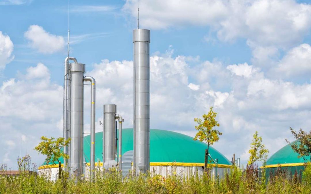 Вильнюсская ТЭЦ начинает производить тепло из биотоплива