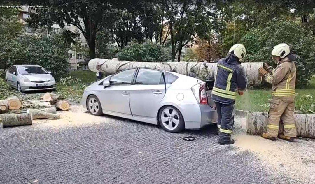 Совпадение? — не думаю: дерево упало аккурат на три(!) “зелёных” гибрида Toyota Prius